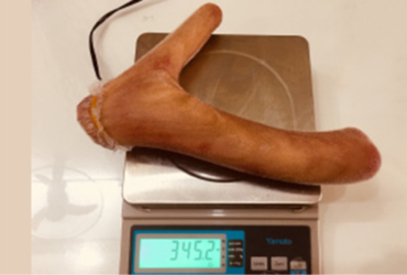 Nhung hươu tươi nguyên nhánh - 345,2gr