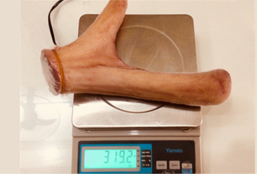 Nhung hươu tươi nguyên nhánh - 319,2gr