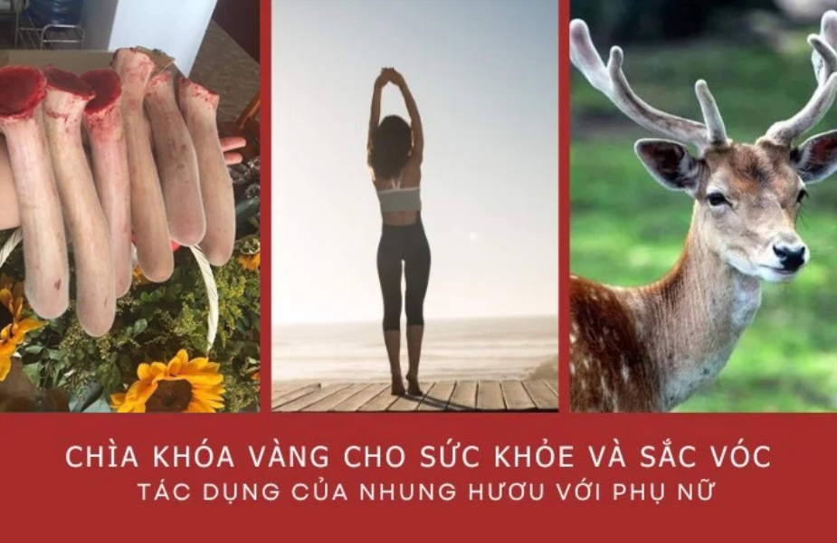 Chào mừng đến với Nai Homestay