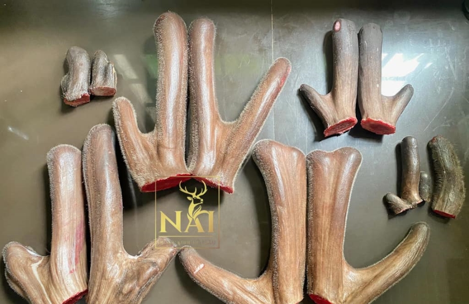 Chúc mừng Ngày Lễ Tình Nhân