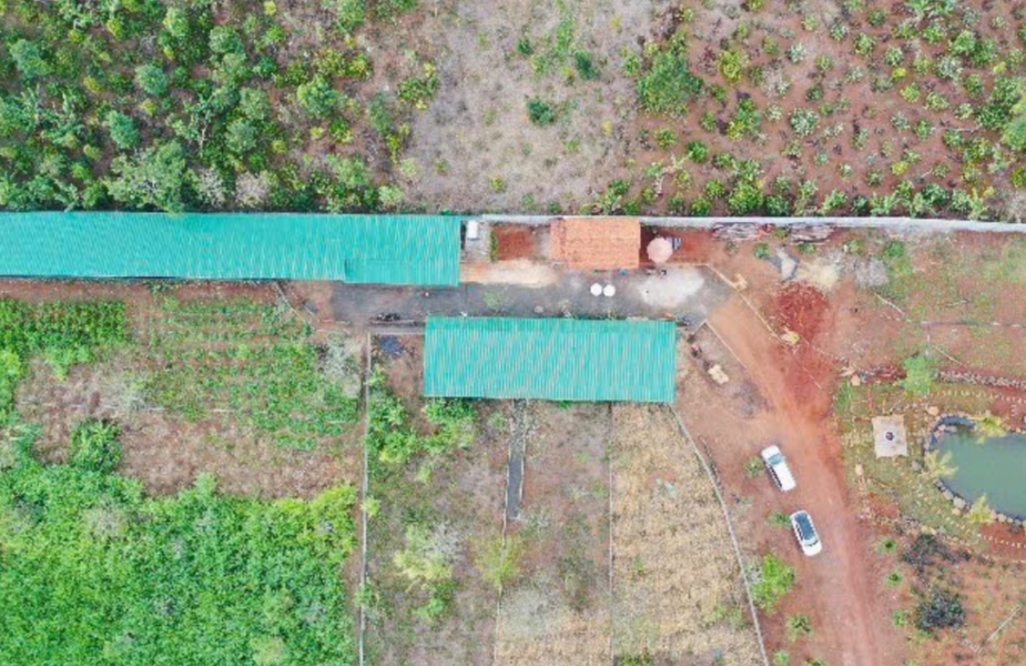 HÀNH TRÌNH XÂY DỰNG VÀ PHÁT TRIỂN HỆ THỐNG TRANG TRẠI NAI FARM ĐƯỢC NHIỀU NGƯỜI YÊU MẾN