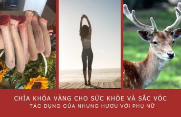  CHUYÊN MỤC BẠN HỎI - NAI TRẢ LỜI