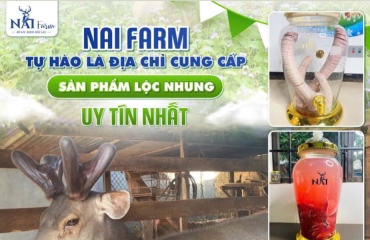 NAI FARM TỰ HÀO LÀ ĐỊA CHỈ CUNG CẤP SẢN PHẨM LỘC NHUNG UY TÍN NHẤT